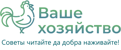 Ваше хозяйство